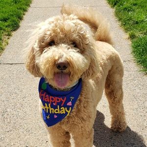 Meet your Posher, Debi